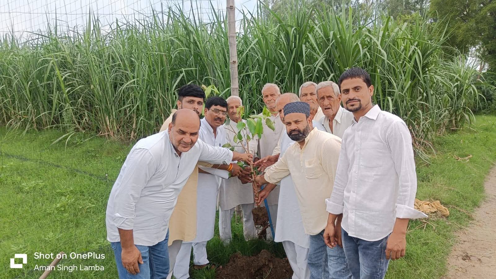Roots of Togetherness: A Community Tree Plantation Drive in Mawana