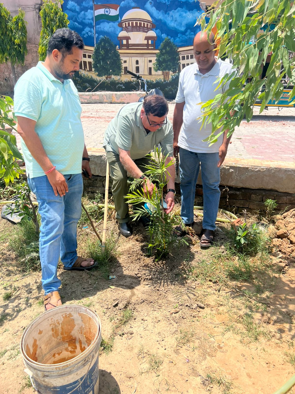 Growing a Greener Tomorrow: Tree Plantation Drive in Lawar by Brahmvikas Foundation.